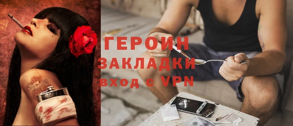 соль ск Ельня