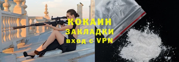 соль ск Ельня