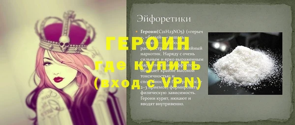 соль ск Ельня