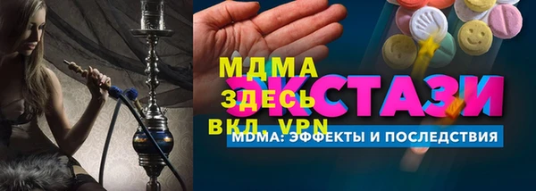 соль ск Ельня