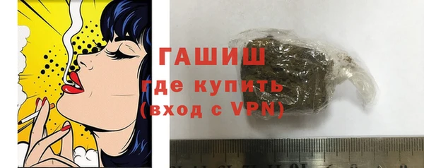 соль ск Ельня