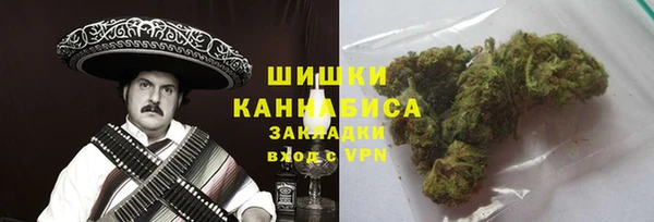 соль ск Ельня