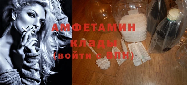 соль ск Ельня