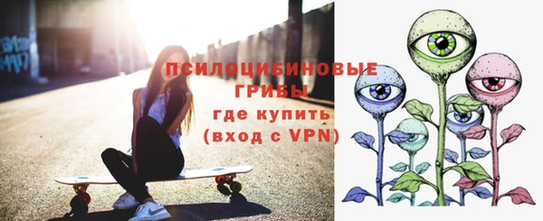 соль ск Ельня