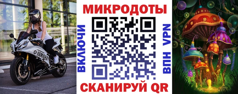 Галлюциногенные грибы Cubensis  Санкт-Петербург 