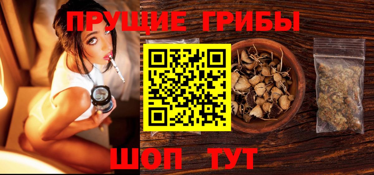 Псилоцибиновые грибы мицелий  Псилоцибиновые грибы Psilocybine cubensis  Вход с VPN  Санкт-Петербург 
