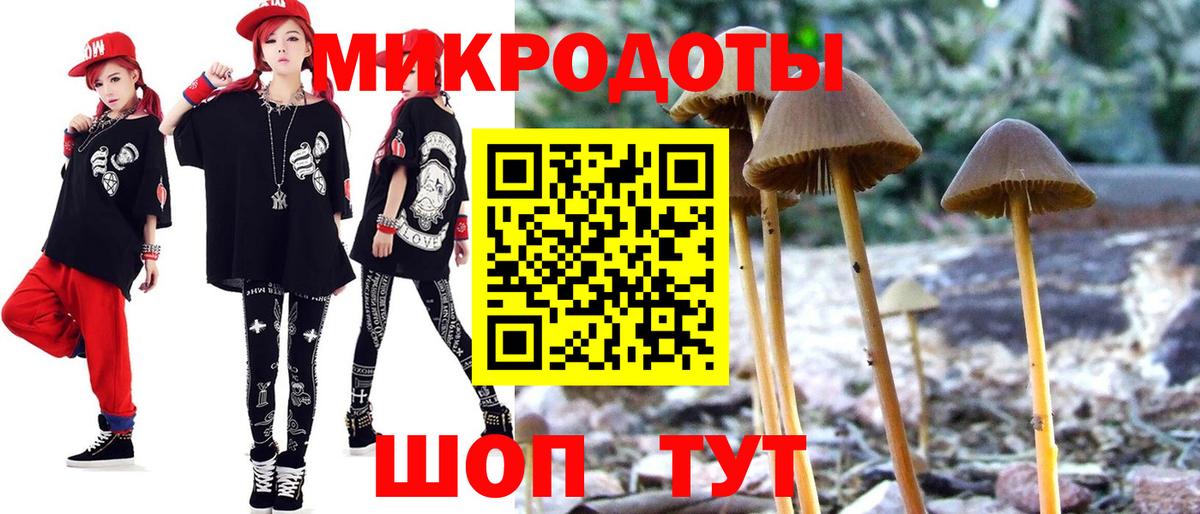 Псилоцибиновые грибы мицелий Санкт-Петербург